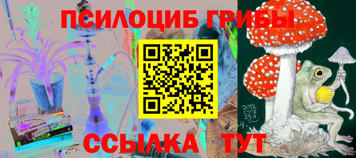 Медногорск  Псилоцибиновые грибы прущие грибы  Вход с VPN 