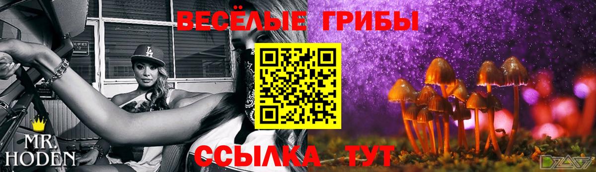 Галлюциногенные грибы Magic Shrooms Медногорск