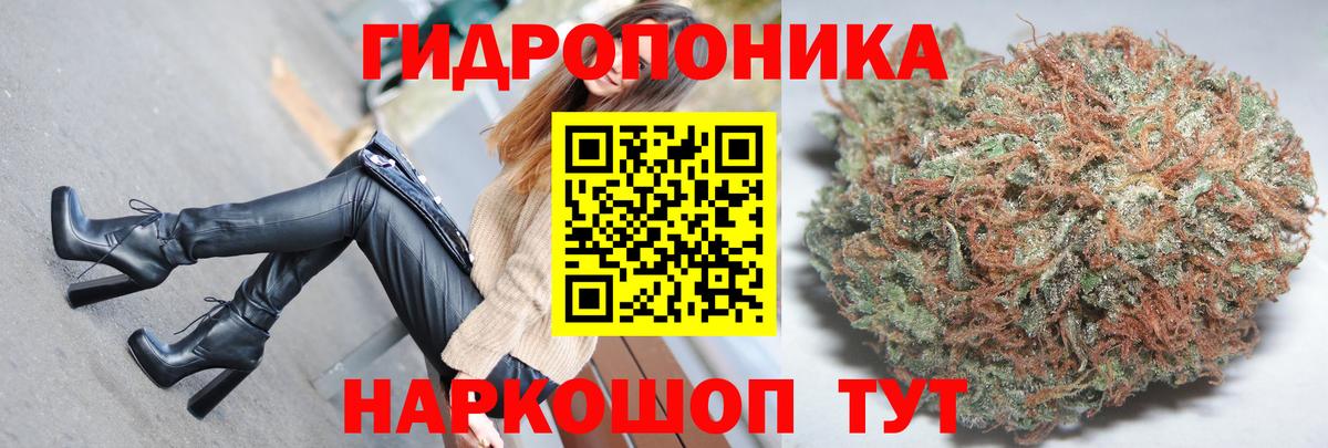 МАРИХУАНА сатива Медногорск